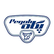 دستگاه بسته بندی اصفهان پک 34 pegah-1.webp